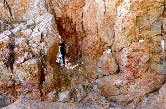 Private Tour: Costa Brava Hike from Barcelona - Analyzing the Value