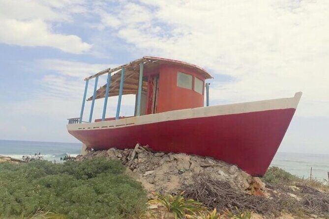 Private Tour Cozumel Buggy your way up to 4 People - Who Would Enjoy This Tour?