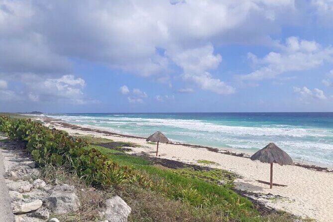 Private Tour Cozumel Buggy your way up to 4 People - Frequently Asked Questions