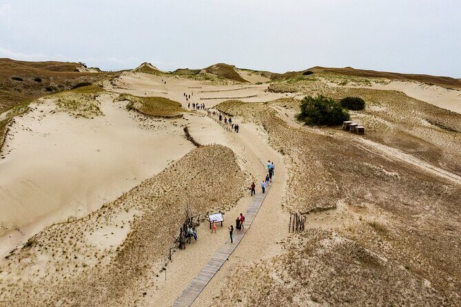 Private Tour: Curonian spit (Neringa) from Klaipeda - Juodkrantes Bird Reserve: Herons and Cormorants