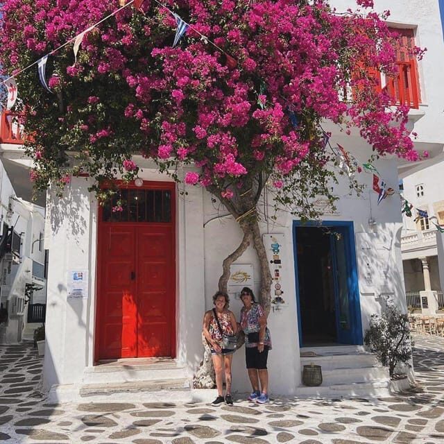 Private Tour: Customize Your Perfect Day in Mykonos - A Detailed Look at the Itinerary