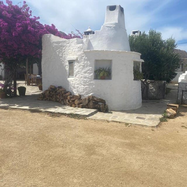 Private Tour: Customize Your Perfect Day in Mykonos - What to Expect from the Transportation and Guide