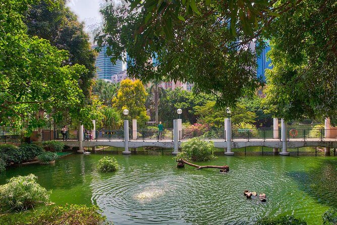 Private Tour: Customized 6-Hour Hong Kong City Tour - The Sum Up