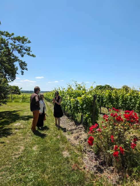Private tour Day in the heart of the Cognac vineyards - Exploring the Cognac Region with a Personal Touch