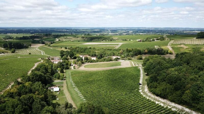 Private tour Day in the heart of the Cognac vineyards - The Cost and Its Value