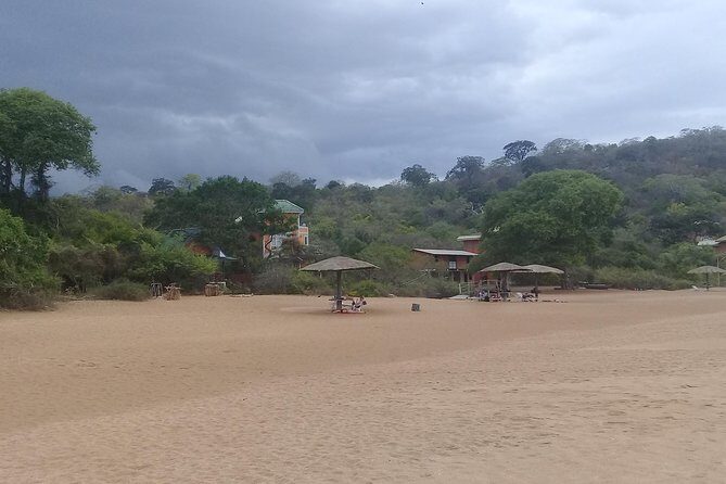 Private tour day tour trincomalee - The Sum Up