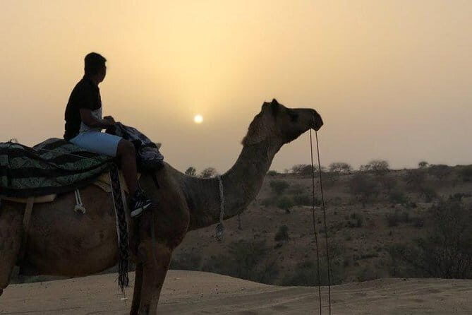 Private Tour :Desert Safari & Bishnoi Village SafarI - Key Points