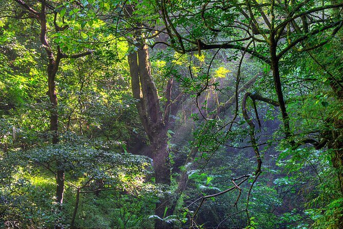 Private Tour Diria National Park Unspoken Hiking and Nature - Key Points