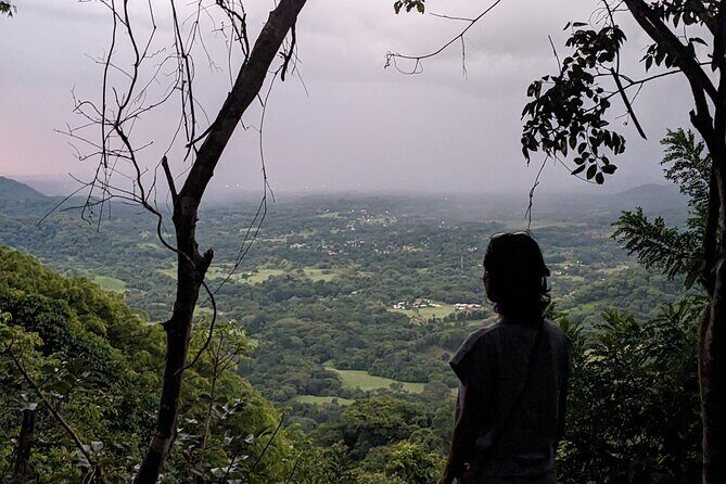 Private Tour Diria National Park Unspoken Hiking and Nature - A Deep Dive into the Experience