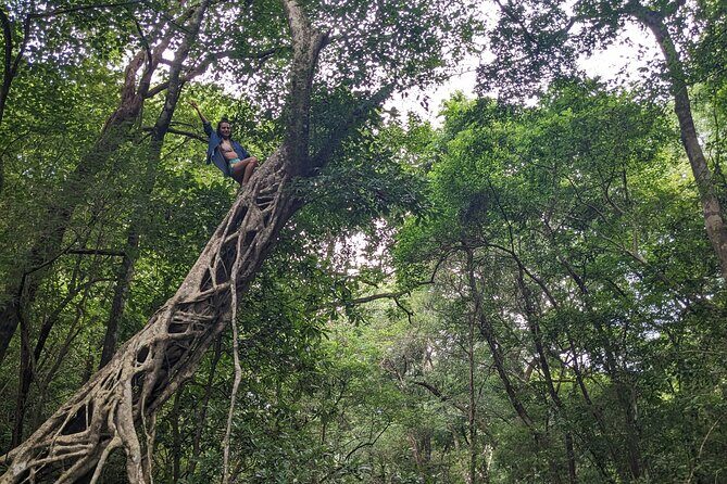 Private Tour Diria National Park Unspoken Hiking and Nature - Frequently Asked Questions