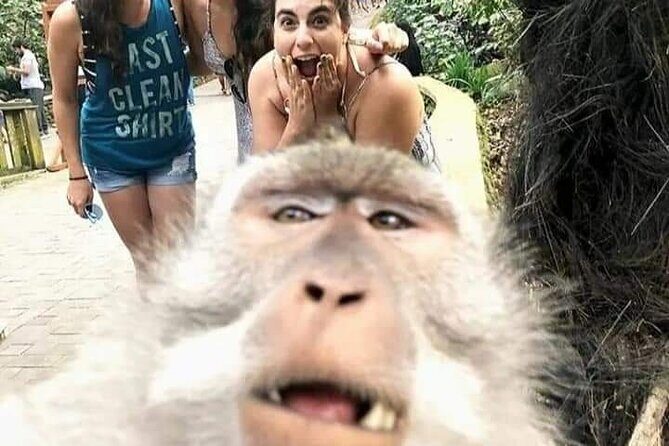 Private tour, discover the beauty of bali - Who Will Love This Tour?