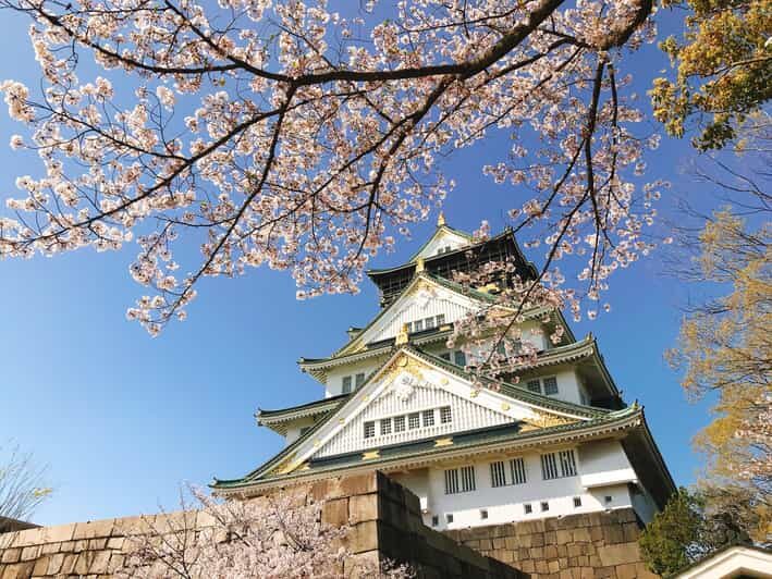 Private Tour: Discover the Best of Osaka with a Local Guide - Exploring Osaka with a Local Guide: What to Expect