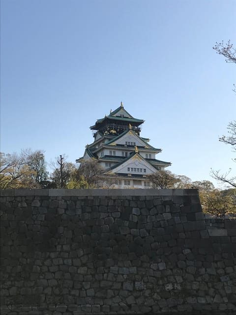 Private Tour: Discover the Best of Osaka with a Local Guide - Who Should Consider This Tour?