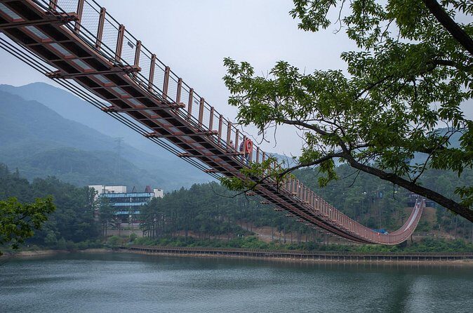 Private Tour DMZ Peace 3rd Invasion Tunnel and Suspension Bridge - Who Should Consider This Tour?