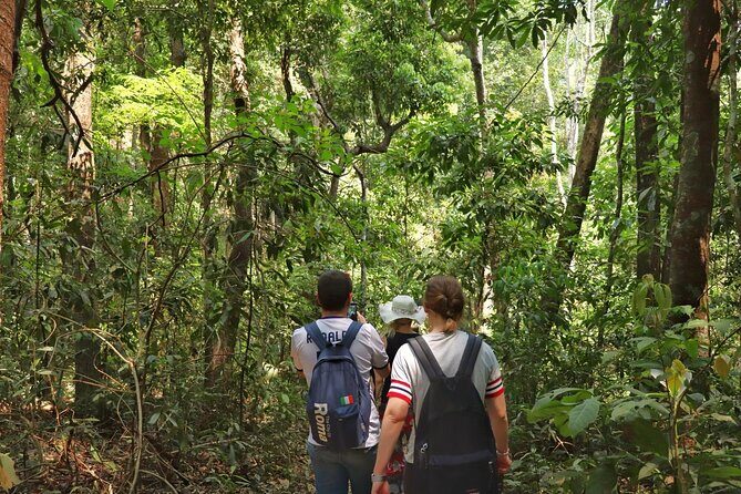 Private Tour Doi Inthanon And Trekking Nature Trail, Chiang Mai - Final Words