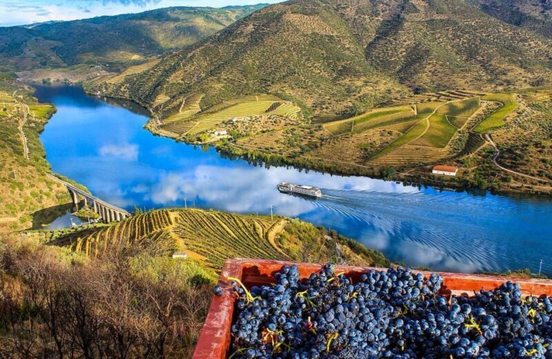 Private Tour: Douro Valley Wine and Food from Oporto - Exploring the Douro Valley: What You Can Expect