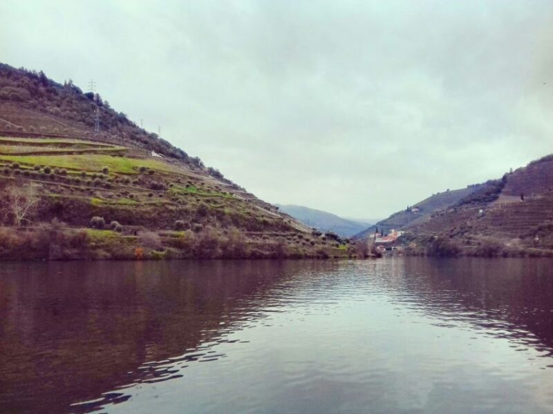 Private Tour: Douro Valley Wine and Food from Oporto - Who Will Love This Tour?