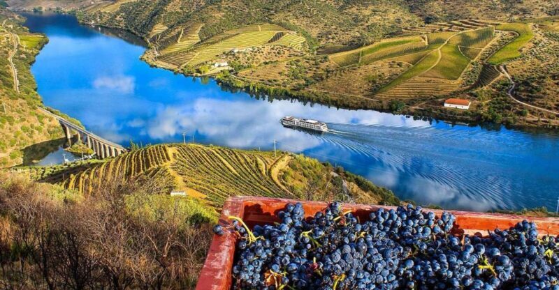 Private Tour: Douro Valley Wine and Food from Oporto - Final Thoughts: Is This Tour Right for You?