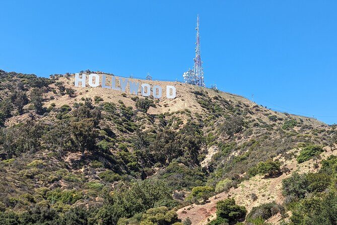Private Tour Downtown to the Hollywood Sign in a 1965 Mustang - Who Should Consider This Tour?