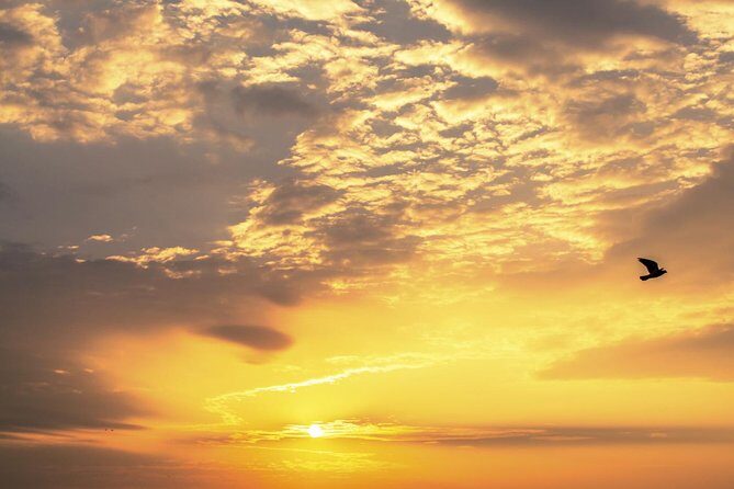 Private Tour: Dubrovnik Sunset Cruise with Jeanneau Cap Camarat 7.5 WA - Who Should Consider This Experience?