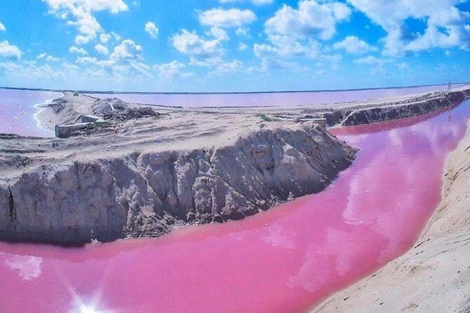 Private Tour: Ek Balam, Pink Flamingos Sanctuary and Tequila Tasting Factory - An In-Depth Look at the Experience