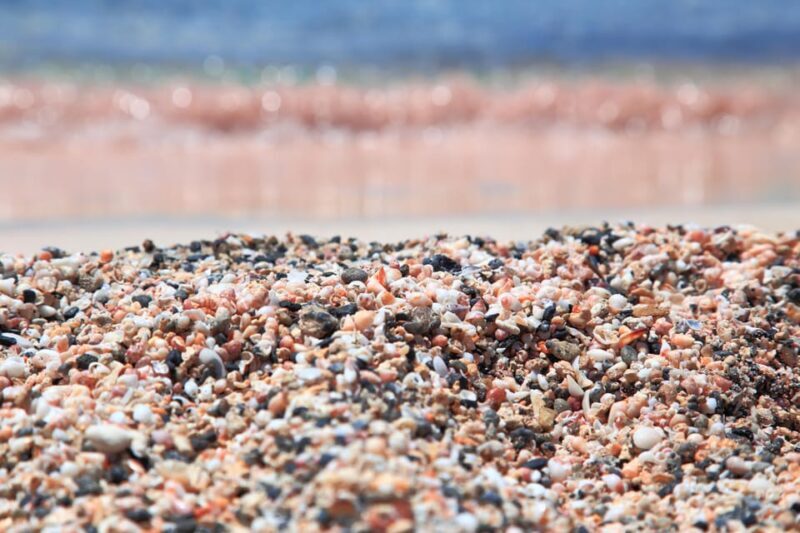 Private Tour Elafonissi Beach, Tsikoudia Museum, Agia Sofia - What to Expect: A Day Filled with Natural Beauty and Local Charm