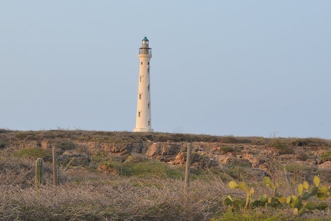 Private Tour: Essential Tour of Aruba - An In-Depth Look at the Aruba Private Tour