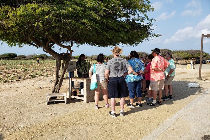Private Tour: Essential Tour of Aruba - The Sum Up
