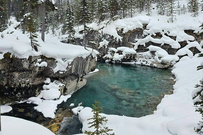 Private Tour Experience at Radium Hot Springs and Kootenay Park - The Value of a Private Day Tour in the Rockies