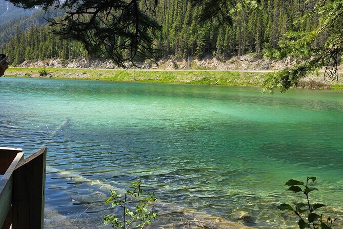 Private Tour Experience at Radium Hot Springs and Kootenay Park - Final Verdict