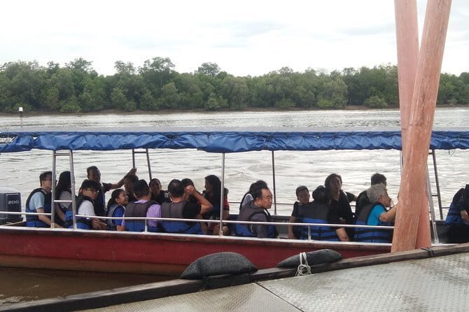 Private Tour Fireflies, Eagles and Monkey - Transportation & Logistics