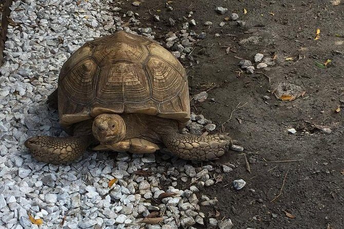 Private Tour: Florida Everglades Airboat Ride and Wildlife Adventure - In-Depth Review: Why This Tour Offers Value
