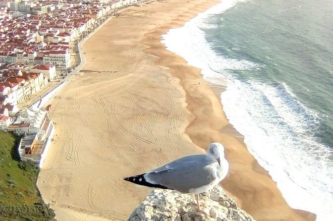 Private tour for 1 to 4 people: Fátima, Batalha, Nazaré and Óbidos - The Sum Up