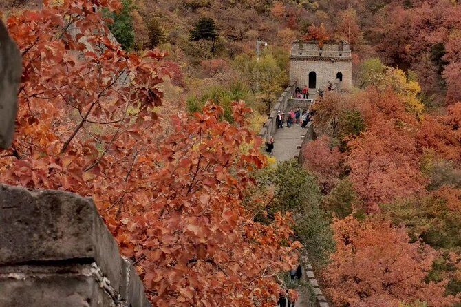 Private Tour: Forbidden City and Mutianyu Great Wall with Cable Car or Toboggan - An In-Depth Look at the Tour Itinerary