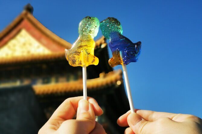 Private Tour: Forbidden City & Tiananmen Square + Entry - What Travelers Are Saying