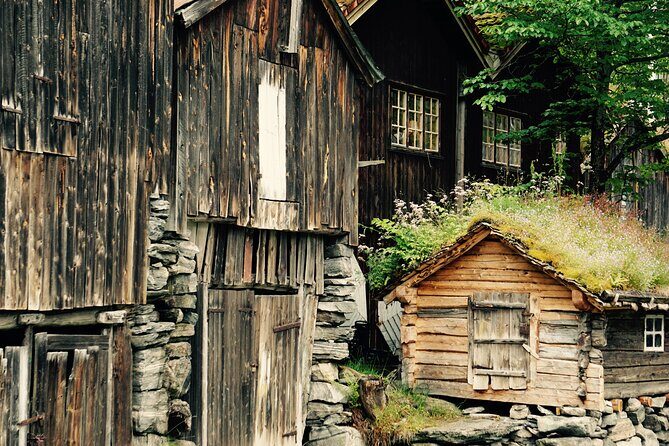Private tour from Ålesund to Geiranger up to 15 people - Discover Norway’s Spectacular Fjords with a Private Tour from Ålesund