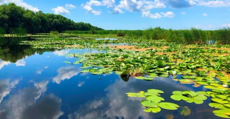 Private Tour from Bucharest to Danube Delta 2 Days Tour - A Deep Dive into the Danube Delta: 2 Days of Nature and Adventure