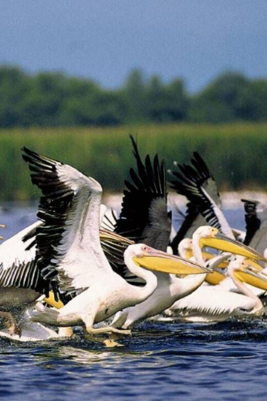 Private Tour from Bucharest to Danube Delta 2 Days Tour - What’s Not Included & Planning Tips