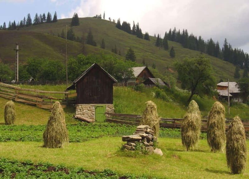 Private Tour from Bucharest to Painted Monasteries-UNESCO - Final Thoughts: Is It Worth It?