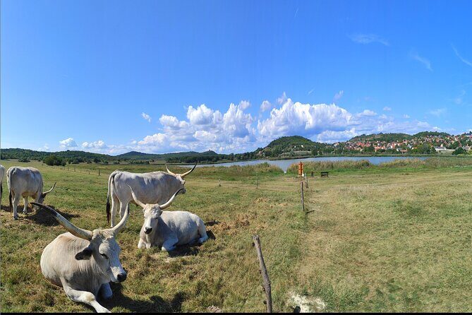 Private tour from Budapest to a top hidden treasure region of Europe: Lake Balaton - The Abbey and Its Significance