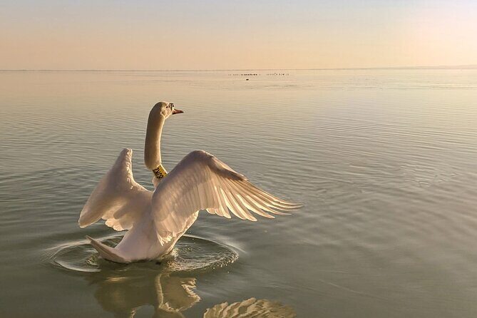 Private tour from Budapest to a top hidden treasure region of Europe: Lake Balaton - Potential Drawbacks or Considerations