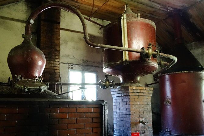 Private tour from Cognac - Cognac Distillery & Bordeaux Winery with a workshop - Key Points