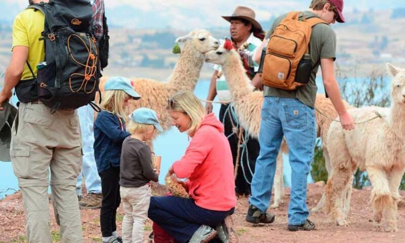 Private Tour from Cusco | Llama Tour + Clay Healing - Experience the Heart of Cusco with a Unique Llama and Clay Healing Tour