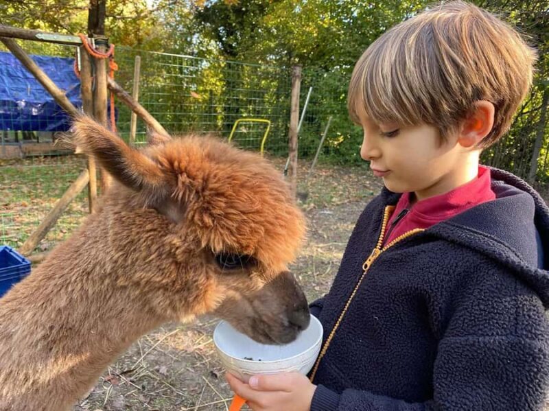 Private Tour from Cusco | Llama Tour + Clay Healing - What’s Included and What’s Not?