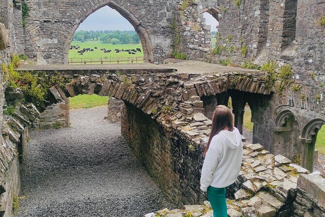 Private Tour from Dublin: Hill of Tara Trim Castle, Celtic sites - Exploring the Itinerary in Detail
