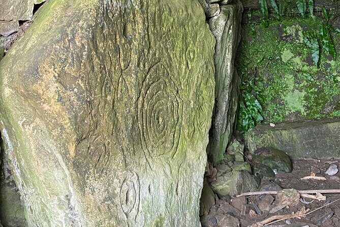 Private Tour from Dublin: Hill of Tara Trim Castle, Celtic sites - FAQ