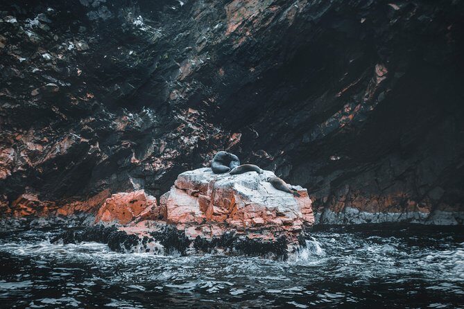 PRIVATE TOUR from Lima to Oasis and ballestas Island(make your own schedule) - FAQs