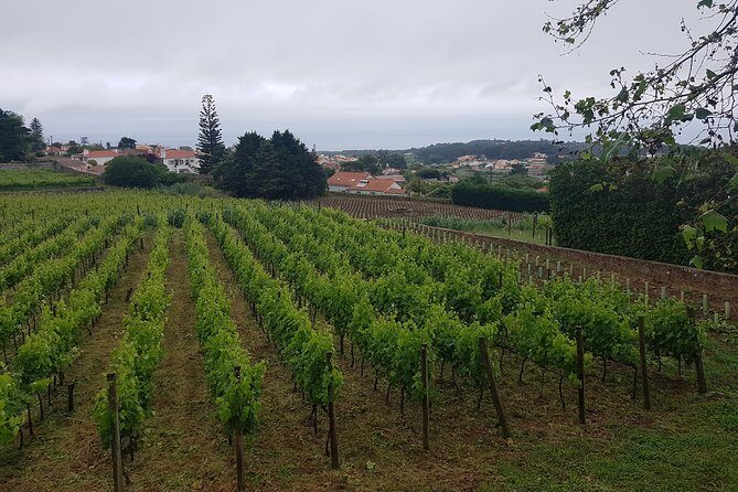 Private Tour from Lisbon to Sintra, Cabo da Roca, Cascais and Estoril - Charming Cascais and Estoril