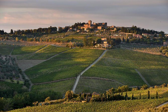 Private tour from Livorno port to Chianti Wine Region - A Private Day in Tuscany’s Chianti: Wine, Views, and Medieval Charm