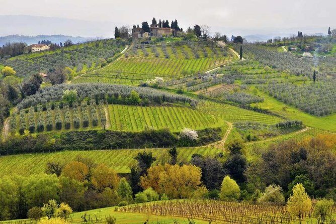 Private tour from Livorno port to Chianti Wine Region - Key Points
